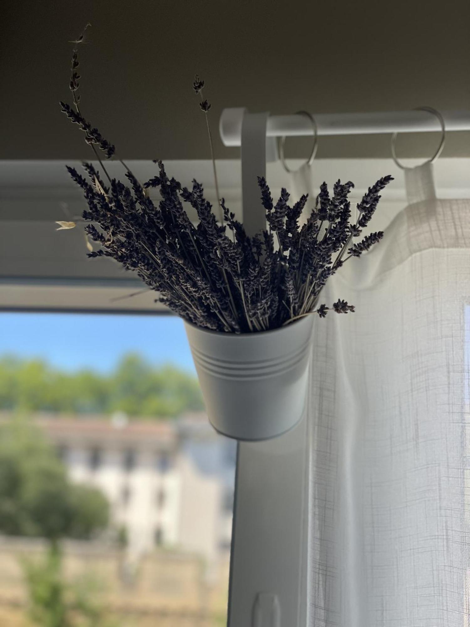 Chez Flo Appartement Avignon