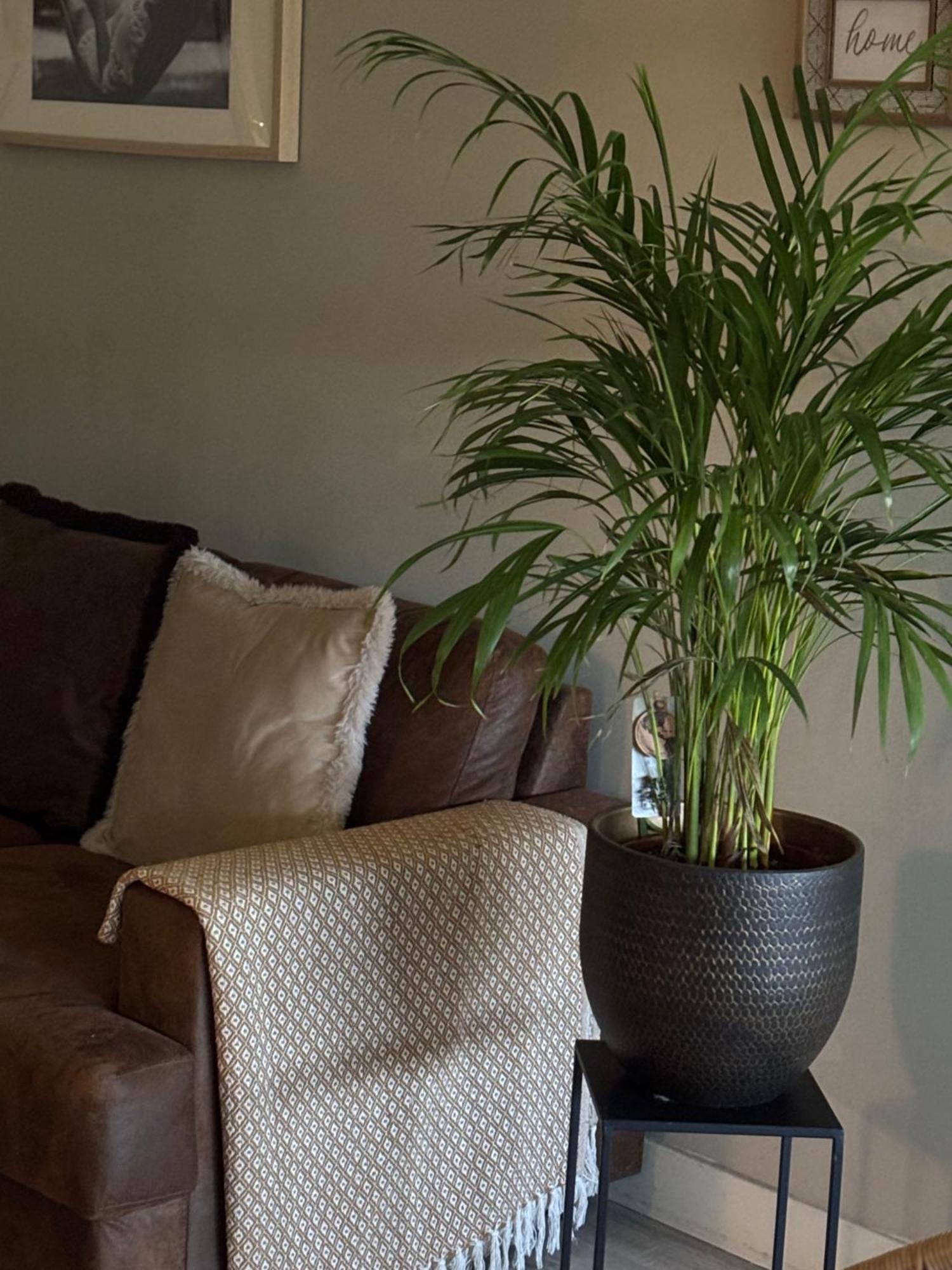 Chez Flo Appartement *